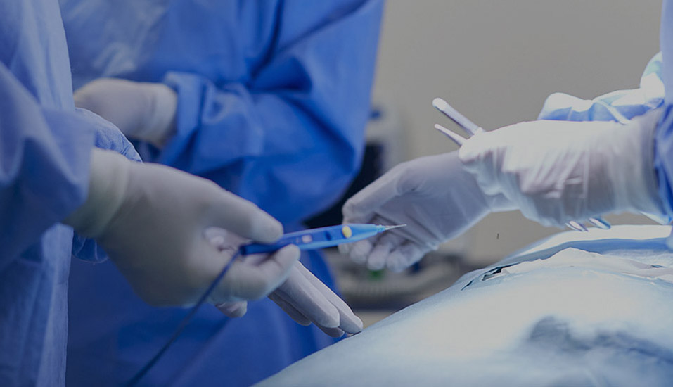 Eray Medical Technology (Nantong) Co, Ltd.